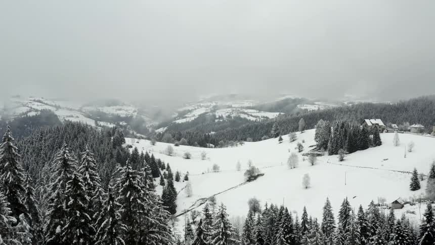Aerial panorama of mountains with conifers covered with snow on a cloudy day