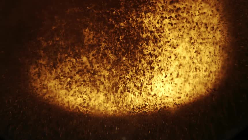 Bubbles spin around in the beer glass