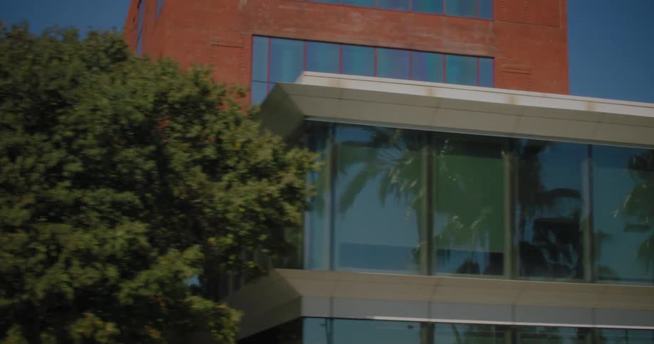 Buildings with large windows near palm trees in a city