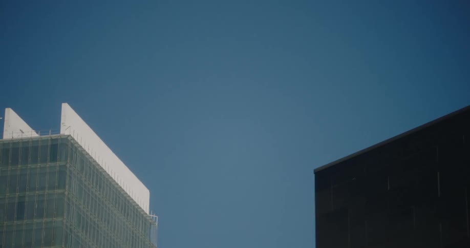 The tall buildings fill the clear sky