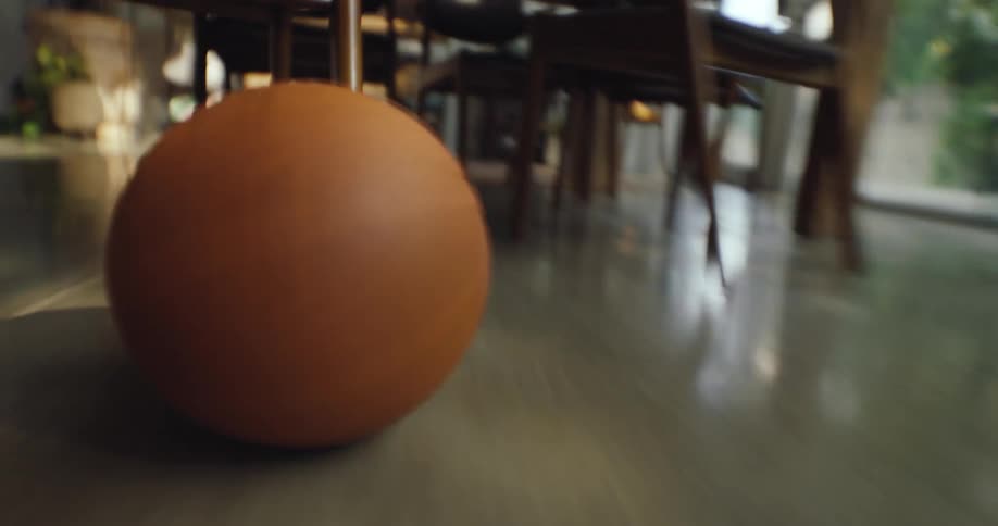 A basketball rolls through the dining room