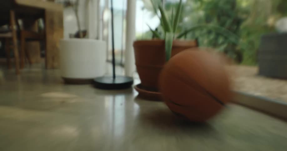 An orange basketball rolling across a living room carpet until it hits a vase and stops