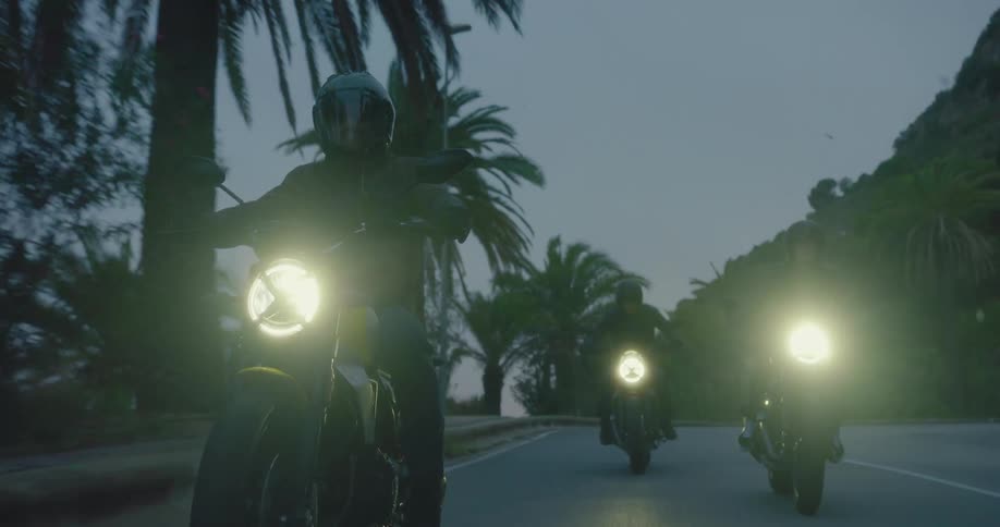 Three motorcyclists riding on a road lined with palm trees with their headlights illuminating the path