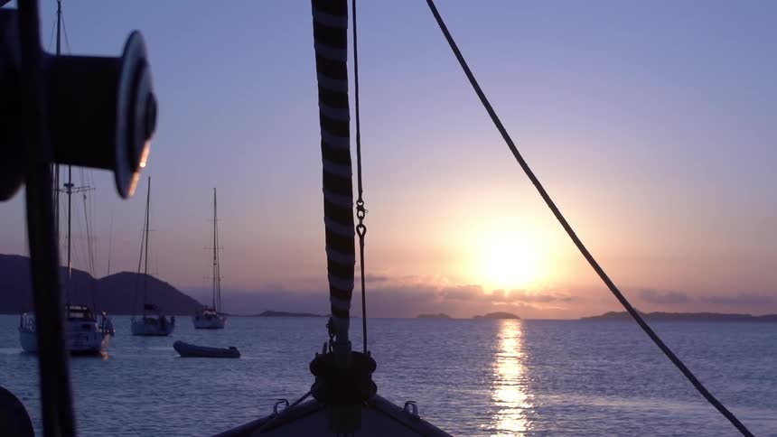 Several sailboats float in a bay by a coast