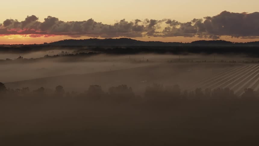 Dense fog partially covers rows of solar panels at a solar farm located on a field between woods during sunrise