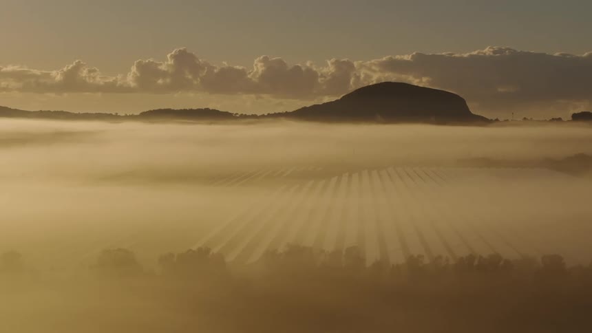 Rows of solar panels fill a large plain near a mountain range
