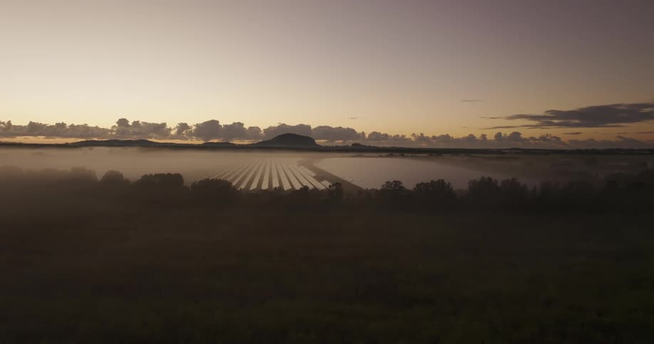 Heavy fog covers the solar farm at sunrise