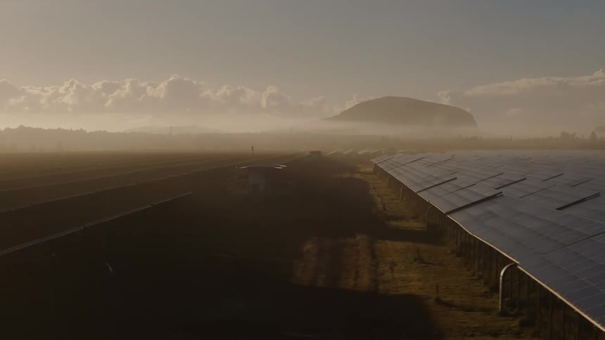 Rows of solar panels fill the landscape
