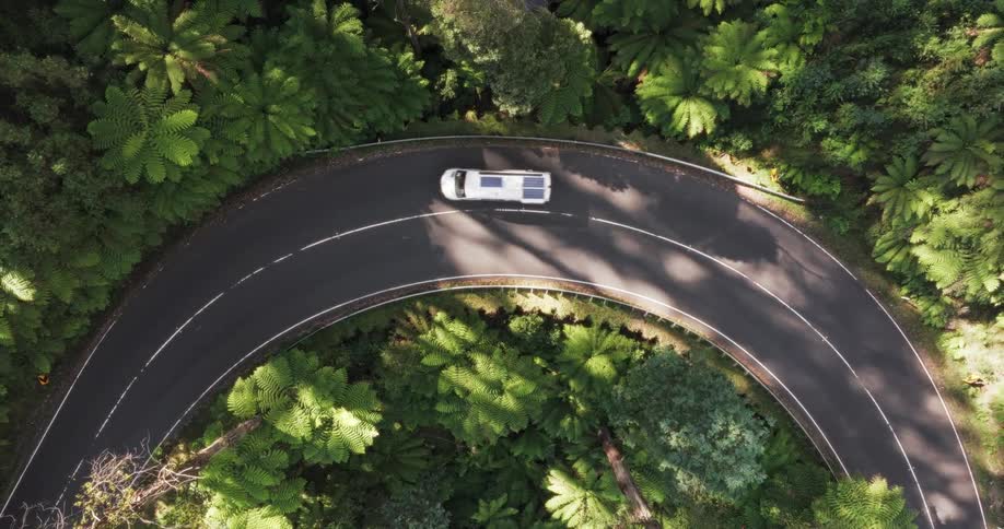 An aerial clip of a car moving on a free way in the jungle