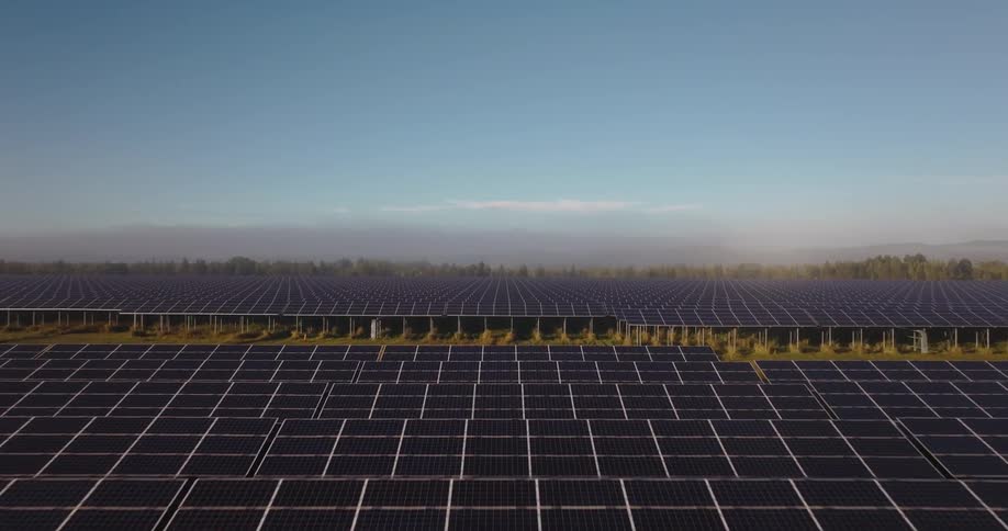 A vast field of solar panels stretches out under a clear blue sky