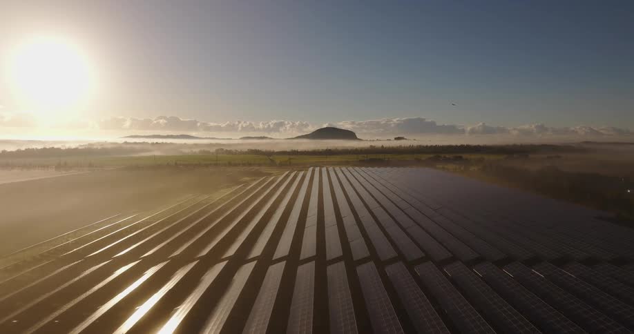 Solar panels located near a busy country road reflect the bright sunlight on a foggy day