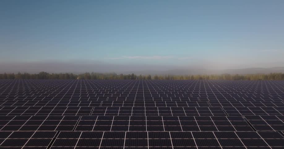 Solar panels fill a field bordering the forest on a sunny day
