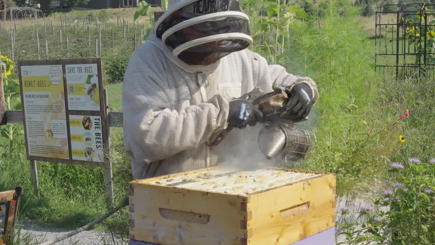 Person in a beekeeping suit working on a beehive with a smoker in a grassy area