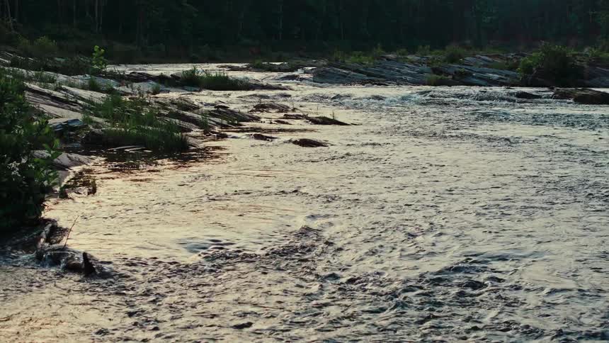 A river with fast moving water and several rocks on the shores