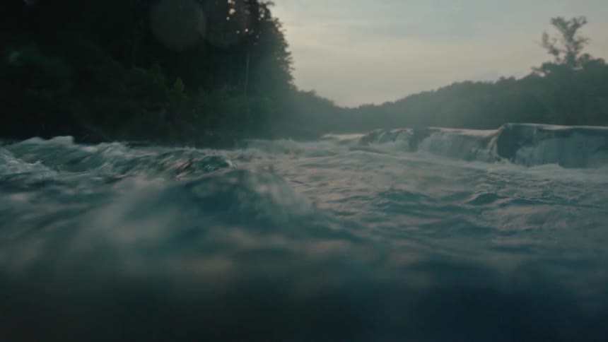 River flowing in an environment surrounded by vegetation