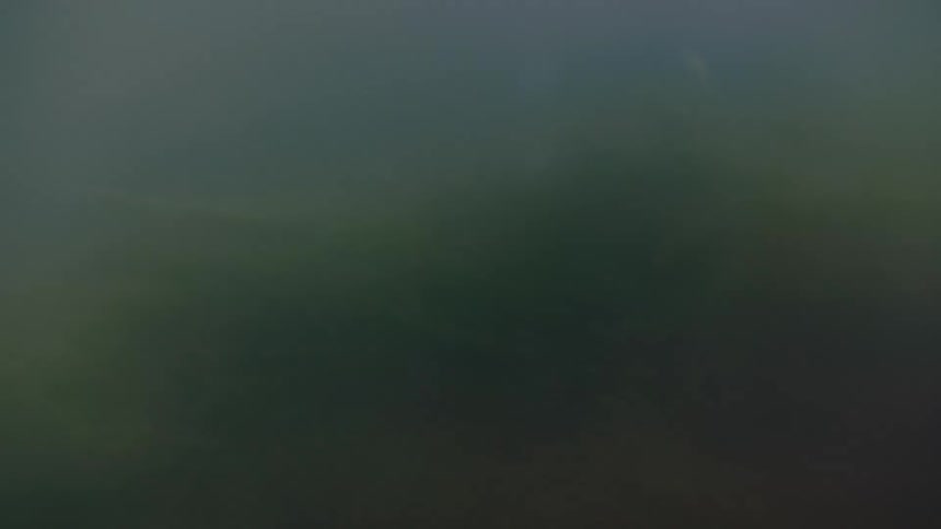 A clip of a stormy dust