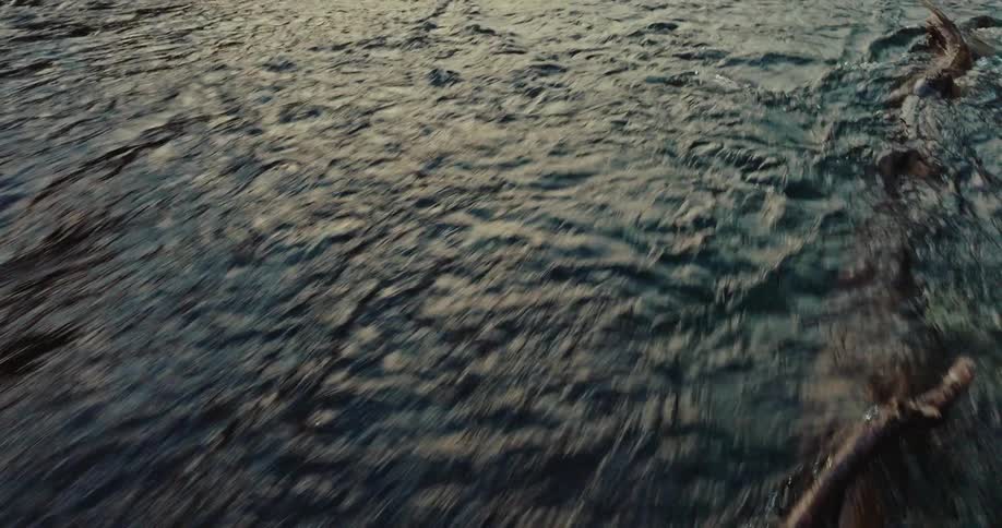 River water is rapidly flowing over logs and rocky surfaces