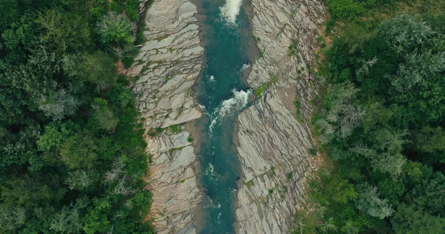 Aerial view of a flowing river surrounded by dense vegetation