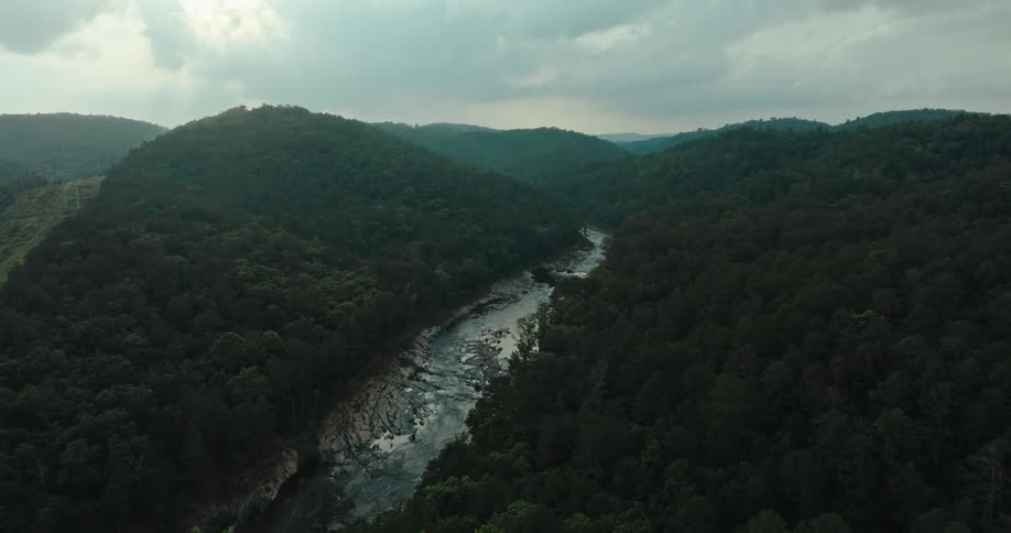 A partially dried up river in the middle of a large dense forest