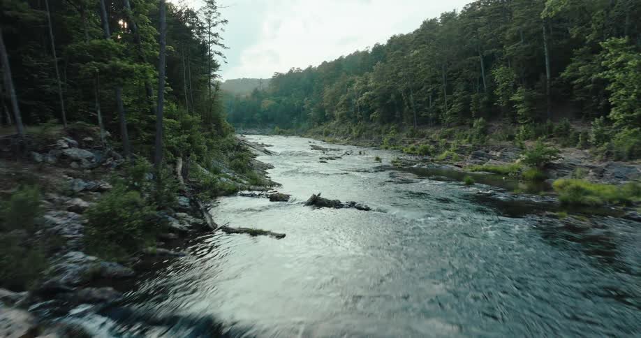 A river with low water and many rocks and on the sides there are several trees in a forest
