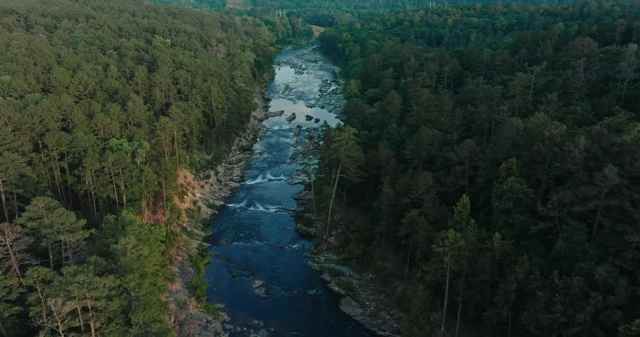 An aerial view of a winding river cutting through a dense verdant forest