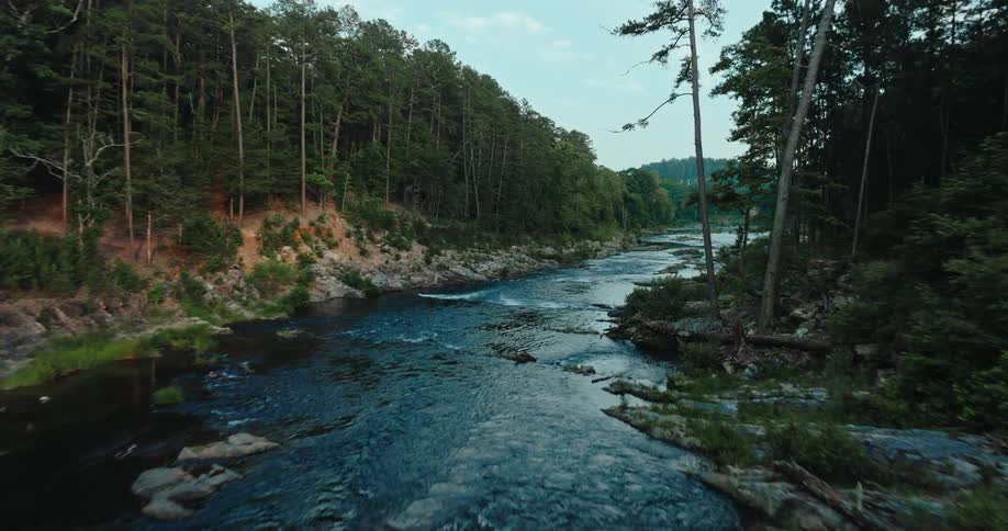 The rough water of the river moves past the forest