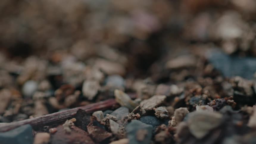 Close up of a floor with wet stones