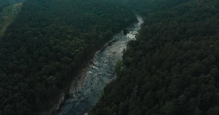 Aerial view of a river in the middle of dense forests