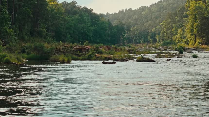 A clip of a flowing river beside the jungle