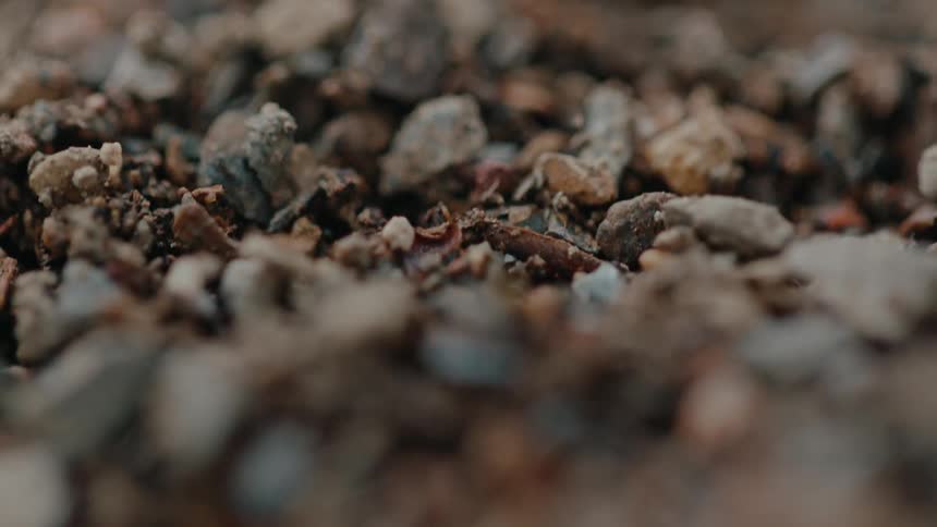 Closeup of a surface composed of small stones and grains of earth
