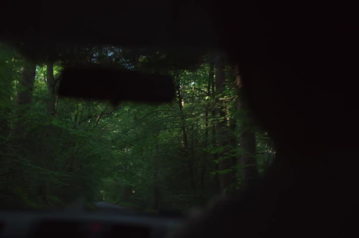 Interior view of a moving car traveling along a narrow road in a forest