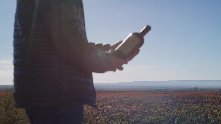 A person holding a bottle of wine and he is standing in a large field of undergrowth