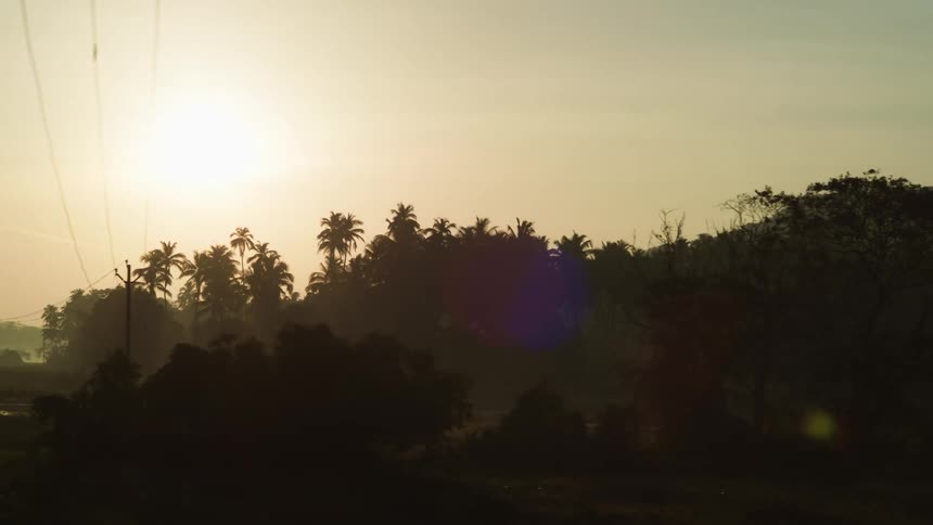 The silhouette of a forest with several trees in the morning with a clear sky and a weak sun