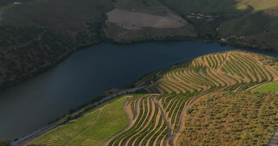 Aerial aerial panorama of an agricultural field on a hill by a lake surrounded by mountains