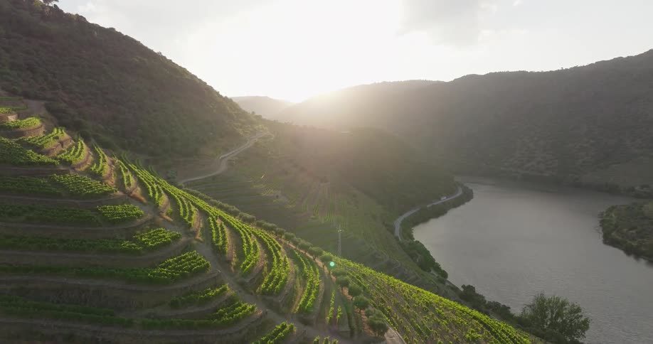 Aerial view of agriculture in mountains and next to a river with the sun on the horizon
