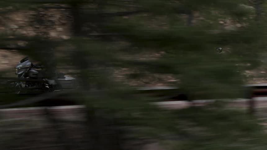 Two adults ride motorcycles on a highway surrounded by an evergreen forest