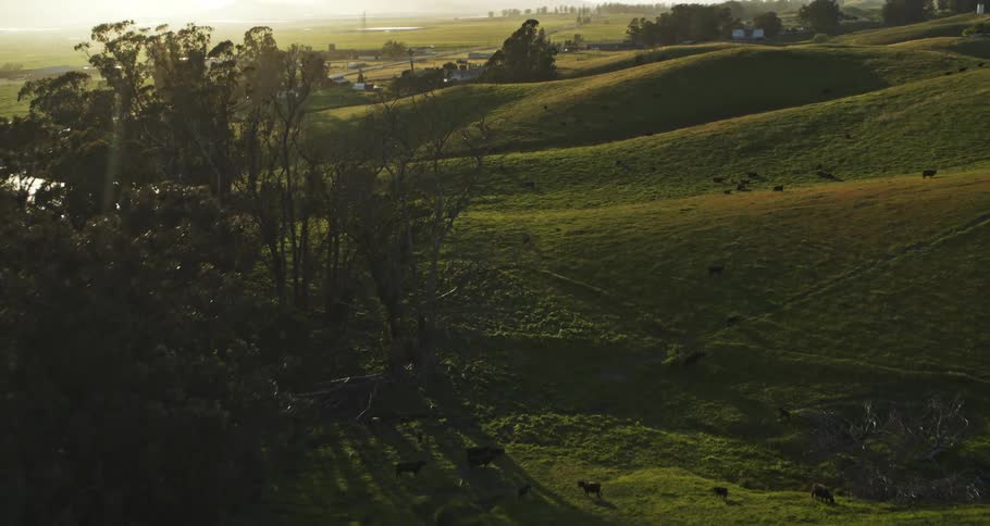 The green hills go into the horizon