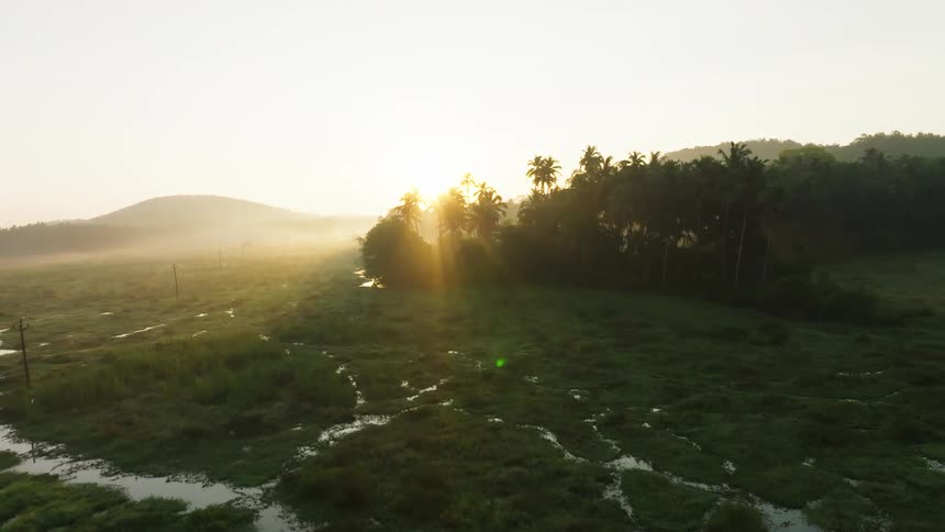 Aerial landscape of a tropical swamp with the sun rising on the horizon