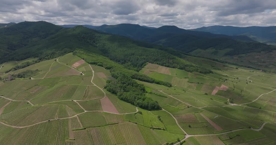 Large farm plots fill in a wide plain near forests and mountains