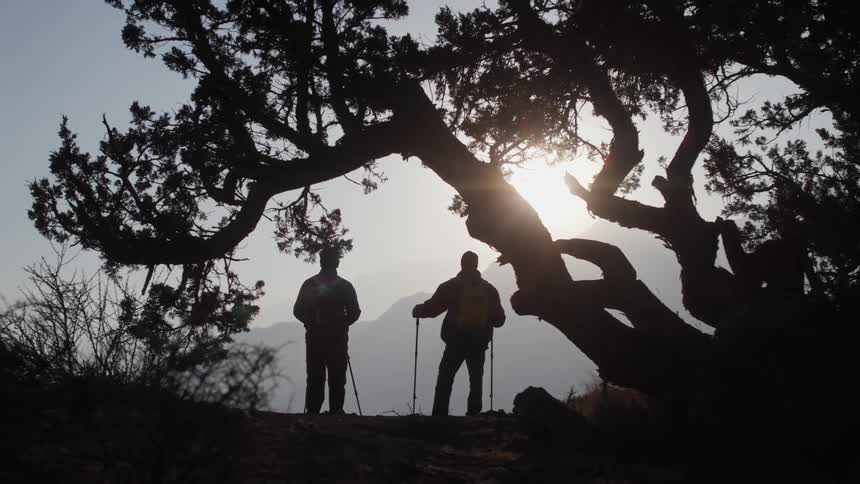 Two people stand under a large tree with sprawling branches silhouetted against a bright sky