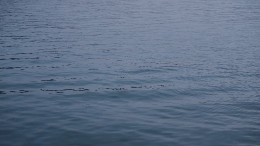 Calm water of an ocean