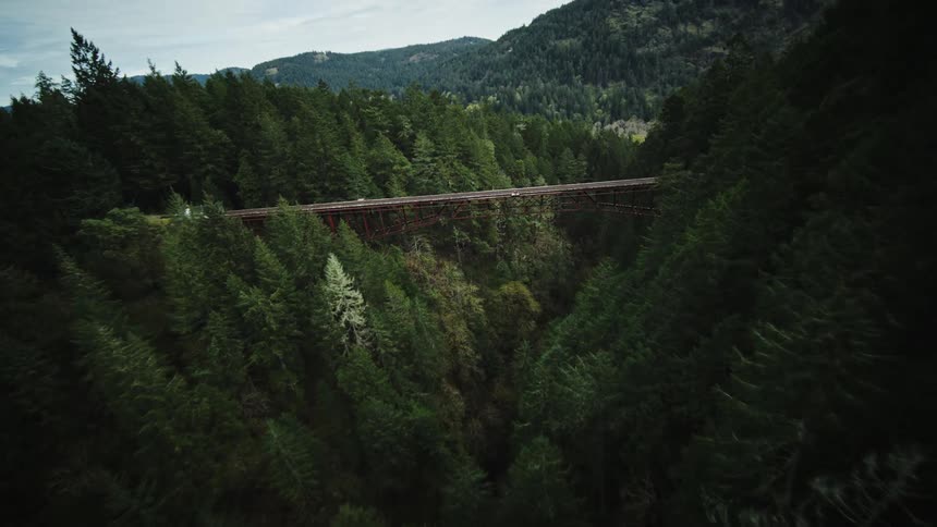 An aerial view of an iron suspension bridge on a high place surrounded by pine forests