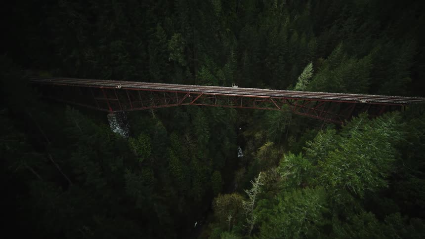 A railroad bridge spans a heavily forested area