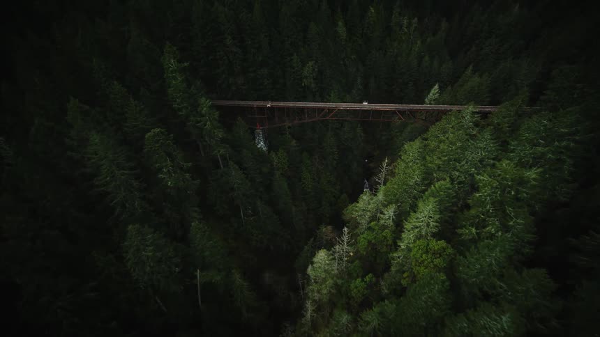 An aerial view of a metal bridge between a huge and dense green pine forest