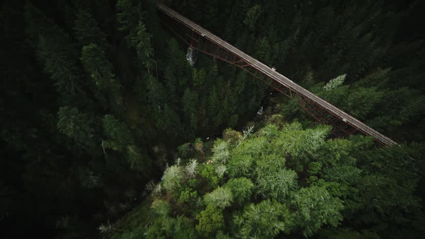 Aerial view of a suspension bridge above a river and between a dense coniferous forest