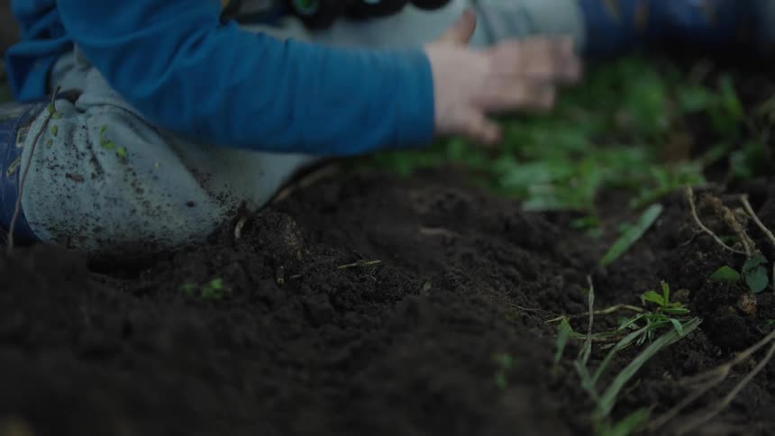 Hands of a small child playing with dirt in an open space