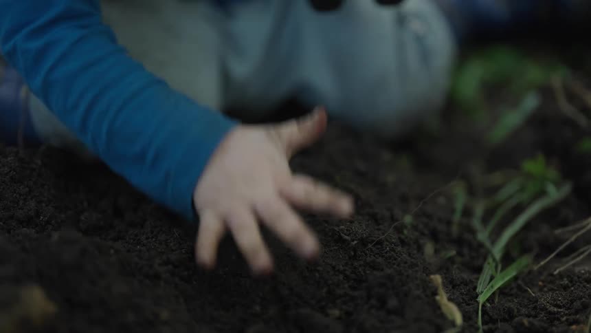 Closeup of a childs hand tapping down dark soil