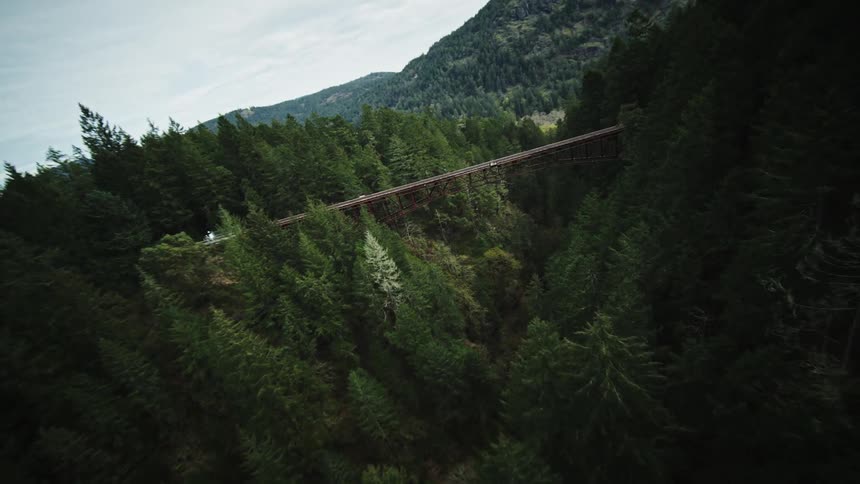 An aerial view of a suspension bridge with a rail above in a region with a dense forest