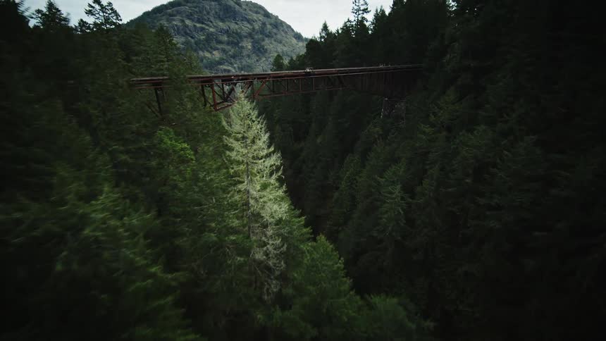 Aerial landscape of mountains with green coniferous forests and a bridge above a cliff