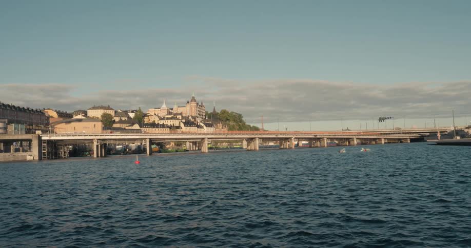A bridge crosses the ocean in front of an older neighborhood
